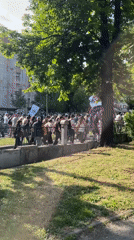 Crowd with Serbian flags gathers near Saint Sava Church