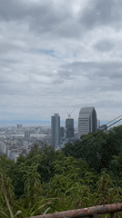 A morning in Kobe: overlooks, local shops, and trails