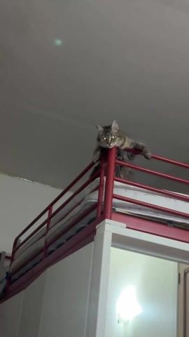From a low angle, a brown tabby cat with green eyes, resting on the railing of a red metal loft bed, is the primary focus of the shot. The cat is perched on the corner post, with its paws draped over the railing. The bed has a white mattress, and the bottom portion of the structure appears to be a white storage unit with a partially visible door. A light fixture is visible through an opening. The ceiling is plain and dimly lit, and the video includes audio of someone softly calling the cat's name.