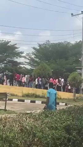 The video shows a crowd of people gathered on a paved area outdoors, in what appears to be a campus or similar setting. Many of the people are dressed in casual clothing, and some are talking and interacting with one another. The camera moves along the paved area, capturing the group of people from different angles. The environment includes trees, shrubs, utility poles, and a building with a covered walkway. The sky is overcast with clouds.