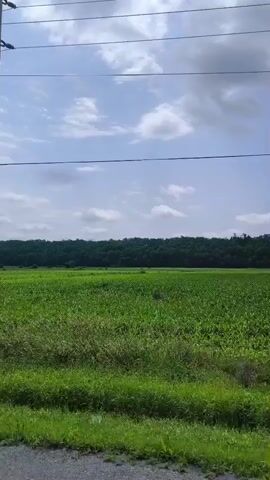 The video shows a view from a vehicle moving along a road. On the right side of the frame is a large, green field, possibly a crop field, bordered by trees in the distance. The sky is blue with scattered white clouds. Power lines are visible stretching across the upper part of the frame. A utility pole is also visible within the frame. The road surface is visible in the lower portion of the frame. The camera appears to be mounted on the left side of the vehicle, as evidenced by a portion of what looks like a side mirror on the far left of the frame in the first few seconds. There are no people visible in the video.