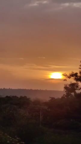 A time-lapse video captures a sunset over a natural landscape. The scene begins with a close-up of a tree silhouetted against the orange sky as the sun's rays break through its branches. The camera then pans rapidly through dense foliage, revealing glimpses of the sun's light filtering through the leaves. Finally, the video widens to a panoramic view of the sunset, with the sun appearing as a bright disc low on the horizon, casting a warm glow over rolling hills and scattered trees. The sky is filled with soft, diffused clouds that add depth to the scene. The overall impression is one of natural beauty and the passage of time as day transitions into night.