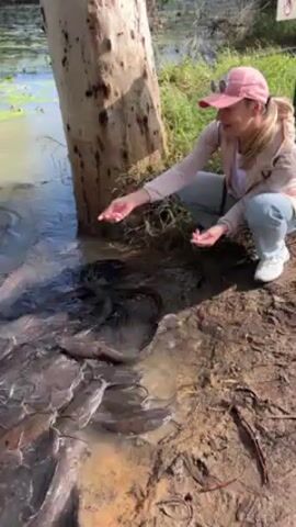 A woman is squatting near a body of water, feeding a school of fish. The woman is wearing a pink baseball cap, a light jacket, and jeans. She is holding a small amount of food in her hand and tossing it into the water. The fish are dark gray and appear to be catfish. They are swimming around her hand, trying to get the food. The water is murky and there are some aquatic plants growing in it. A large tree trunk is on the bank near the water, with some dirt and debris on the ground.