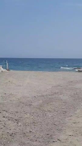 This video shows a picturesque beach scene with a sandy foreground and a body of water in the background. The sky is a clear, light blue, suggesting a sunny day. The sea is a vibrant blue, with small waves gently lapping at the shore.

In the mid-ground, a white, rocky cliff face dominates the landscape, with several small groups of people scattered along its base and on the beach. These individuals appear to be enjoying the sunny weather, some possibly sunbathing or walking along the shore. Further down the beach, a few palm trees add a tropical feel to the scene, and a dark-colored car is parked near them. The overall atmosphere is one of relaxation and leisurely enjoyment of a coastal environment.

The video is shot from a stationary position looking towards the sea. The camera pans slightly to the right, revealing more of the beach and the people enjoying their time. There is no visible text in the video. The bright sunlight and clear sky suggest it is daytime, likely mid-morning or afternoon. The presence of people in beachwear and the general ambiance indicate a warm, pleasant weather. The location context of Monagrouli, Cyprus, places this scene in a Mediterranean coastal setting, known for its beautiful beaches and clear waters.