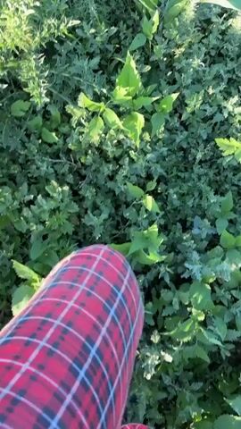 A first-person perspective video shows a person walking through dense green foliage. The person is wearing red plaid pants and blue and white striped socks. Sunlight filters through the leaves, creating bright highlights and shadows. The vegetation appears to be a mix of grasses, weeds, and possibly flowering plants. The camera moves forward and slightly downward, capturing the feet and legs of the person as they navigate the terrain. The overall impression is of someone walking through a natural, overgrown area.
