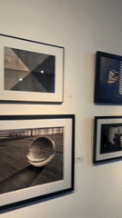 Art Gallery Exhibition Documented by Multiple Witnesses in Los Angeles