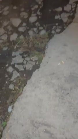 The video shows a close-up, shaky view of a concrete sidewalk with some debris and small plants growing in the cracks. The lighting is dim, suggesting it might be night or a poorly lit area. The camera is angled downwards, focusing on the ground. There is no discernible action or interaction taking place, nor are any people or animals visible. The environment appears to be an outdoor urban or suburban setting.