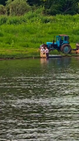 A blue tractor sits on a grassy bank next to a body of water. Several people are in the water near the bank, some appearing to be interacting with a boat or raft. There is also a dog visible on the bank near the tractor. The environment appears to be rural, with trees and foliage in the background.
