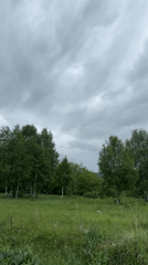 Rural walk with dog and cat captured in 30 memories