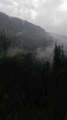 Morning life captured across misty Old Manali mountainside