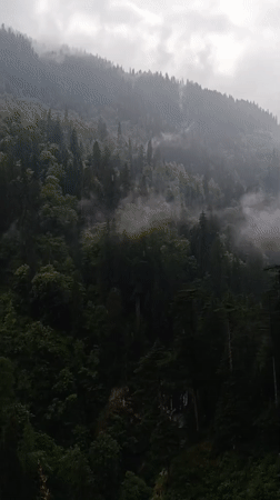 Morning life captured across misty Old Manali mountainside