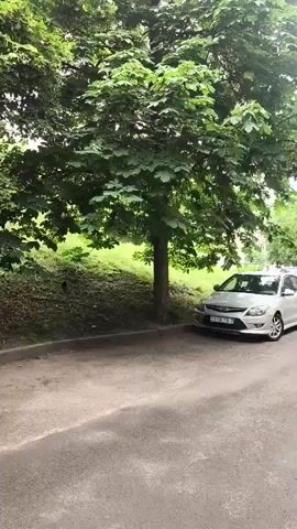 The video shows a view of a residential street lined with trees and parked cars. A silver car is parked on the right side of the road, and another car is parked behind it. A sidewalk with brick paving runs along the right side of the street. Trees with green foliage are abundant, casting shadows on the road and sidewalk. The sky is overcast, suggesting cloudy weather. There are no people visible in the video. The scene appears peaceful and ordinary.