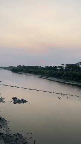 This is a vertical video clip showing a sunset over a body of water. The sky is a soft gradient of pink and gray, with the sun appearing as a small, bright orange orb near the center of the frame. A line of lush green trees runs along the far bank of the water, with some taller trees interspersed among them. The water itself is calm and reflects the muted colors of the sky. In the foreground, a dark, somewhat muddy bank is visible on the left side of the frame. A thin, dark cable stretches across the water from left to right in the lower portion of the image, with some debris or vegetation hanging from it on the right side. There are no people or animals clearly visible in the frame. The overall impression is one of tranquility and natural beauty at dusk.