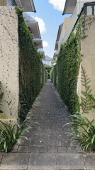 Morning life documented across Kuta Selatan's streets and gardens