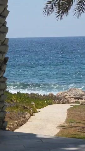 The video shows a path leading to a beach. The path is made of light-colored stones and is bordered by grass on the right and rocks and vegetation on the left. The sea is visible in the background, with waves crashing on the shore. A palm tree branch is visible in the upper right corner of the frame. The sky is clear and blue. The scene is calm and peaceful.