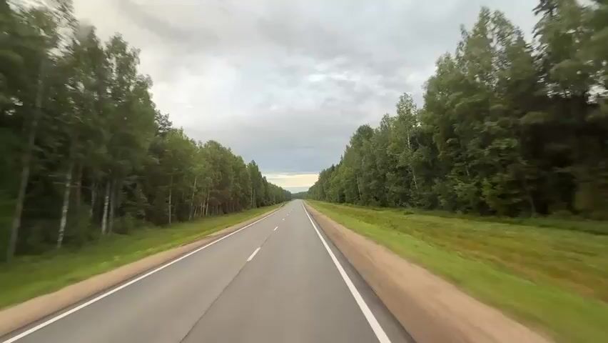 The video shows a forward-facing view from a moving vehicle on a paved two-lane road. The road is lined with dense green trees on both sides, forming a forest canopy. The sky is overcast with grey clouds. The road surface has white dividing lines. There are metal guardrails on the left side of the road and a grassy verge with a small white post on the right side. The perspective suggests the vehicle is traveling at a moderate speed.
