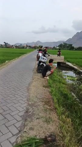A group of young men are gathered near a paved road that runs alongside a lush green rice paddy. Two motorcycles are parked on the side of the road. One man is crouched down, seemingly fishing in a narrow waterway that runs parallel to the road. Another man is sitting on a concrete structure that spans the waterway, while others stand or sit near the motorcycles. In the background, rolling hills and a prominent mountain dominate the landscape under a cloudy sky. The scene appears to be a rural setting, possibly in Southeast Asia, given the attire and surroundings.