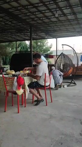 A man in a white t-shirt and patterned shorts is sitting at a table, eating. Another person, wearing a light-colored garment, is crouching nearby. A black cat is on the ground, walking towards the camera. The scene takes place outdoors under a covered patio. There is a hanging chair, a table with chairs, and laundry hanging on a line in the background.