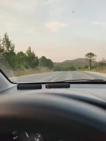 The video shows a first-person view from inside a car driving on a paved road through a rural, hilly landscape. The sky is overcast with a pale, hazy light, suggesting either dawn or dusk. Dense green trees and vegetation line both sides of the road, with some scattered smaller plants and rocks visible on the embankments. The road itself is asphalt with a white line marking the center. The dashboard of the car is partially visible in the foreground, including the top of the steering wheel and two rectangular objects placed on the dashboard. The car appears to be moving at a moderate speed, with the scenery steadily passing by. There are no other vehicles or people clearly visible in the immediate vicinity. The overall impression is of a scenic drive through a natural environment.