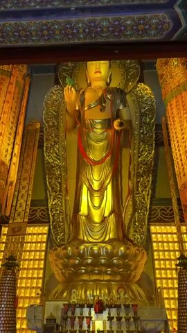 The video pans across the interior of a Buddhist temple, revealing a large, golden statue of a Buddha figure as its focal point. The statue is elevated on an ornate lotus-shaped base, adorned with candles and offerings. Behind the statue are elaborate golden tapestries and decorative elements that contribute to the temple's opulent aesthetic. The camera then shifts focus to a side area, where a wall is lined with small, illuminated niches. In front of this wall, a person is seen resting their head on a table covered with a golden cloth. The table also holds religious items and donation boxes, suggesting it is a place for offerings or temple support.  A chair sits nearby. The overall impression is one of reverence and tranquility within a richly decorated sacred space.