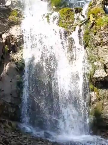 A waterfall cascades down a rocky cliff face covered in moss and vegetation. The water is white and foamy as it falls, creating a misty spray. Trees and foliage frame the top and sides of the waterfall. The sun is shining, casting bright light and shadows on the scene.
