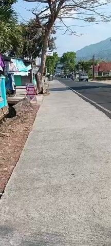 A concrete sidewalk runs alongside a paved road. On the left side of the sidewalk are some small shops with awnings. A tree is positioned on the sidewalk. The road has two lanes and vehicles are driving on it. In the background, there are houses and trees, with a mountain range visible in the distance. The sky is clear and the sun is shining. The video appears to be a continuous shot, possibly taken from a moving vehicle or by someone walking.