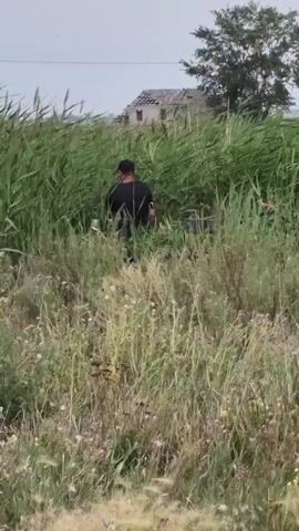 A man wearing a black shirt and a black baseball cap is in a field of tall grass and weeds. He is bent over and appears to be cutting or gathering something. Behind him, a dilapidated building with a damaged roof is visible. The sky is overcast.