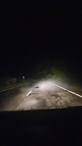 A car drives at night on a dark, wet road with visible white lane markings. The car's headlights illuminate the road and some vegetation on the right side. The sky is completely dark, and no other vehicles or people are visible.