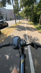 Bike ride and grocery run on a June afternoon