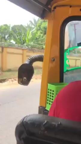 The perspective from inside a yellow auto rickshaw (tuk-tuk) shows the vehicle moving along a road. The rearview mirror reflects another yellow auto rickshaw approaching from behind. The road is paved, and the roadside scenery includes buildings, vegetation, and power lines. A small green basket is visible inside the rickshaw, and a person wearing a red shirt is also visible. The weather appears bright and sunny.