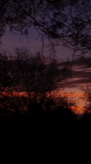 Vibrant sunset observed in Juan Griego, Venezuela