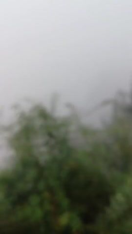 The video begins with a blurry shot of green foliage and mist. It then pans to a paved road with a white line marking its edge. To the left of the road, there is a grassy verge with some green vegetation. As the camera moves forward, the scene gradually comes into focus, revealing a winding road with several cars parked along its side. Buildings are visible in the background, and the mist continues to obscure the distance. The road appears to be in a hilly or mountainous area, given the incline and the presence of what looks like retaining walls or terraced structures alongside the buildings. The video ends with a clearer view of the parked vehicles, including what appears to be a white SUV on the right side of the road and two white cars parked on the left.