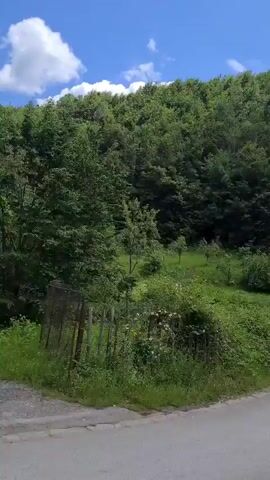 The video opens showing a paved road winding through a dense green forest under a partly cloudy sky. Red and white barriers line the right side of the road. The camera then pans left, revealing a dirt path branching off the paved road. A light blue SUV drives past on the paved road from right to left, briefly visible before the video ends.
