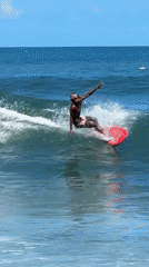 Beach Day: Surfers, Sunbathers, Dogs Enjoy North Kuta Indonesia