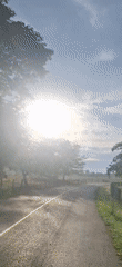 Rural Venezuela daytime scenes captured by witnesses