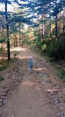 A child wearing a light blue outfit and a blue hat walks away from the camera on a dirt path in a forest. The child carries a stick. The path is rocky and uneven, surrounded by trees with green foliage. Sunlight filters through the trees, creating shadows on the path. The camera appears to be following the child.
