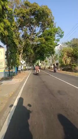 The video captures a POV perspective of someone riding a motorcycle on a paved road lined with trees. The road has a white line on the left side and is in good condition. Several other motorcycles and a car are visible on the road, moving in the same direction. The trees are tall with dense green foliage, creating a shaded canopy over parts of the road. The scene appears to be in a rural or suburban area, with some buildings and signs visible on the sides of the road. The weather seems clear and sunny, with a bright blue sky. The rider is wearing a backpack.