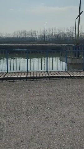 The video shows a water management structure on a sunny day. The foreground is a gray asphalt road, leading to a blue metal railing that encloses a section of calm water. Behind the railing, a concrete structure with vertical metal bars stands in the water, forming a kind of artificial island. Further in the background, a bridge can be seen, with a dense row of bare trees lining the horizon under a pale blue sky. The light is bright and casts shadows from the railing onto the road. The video is static with no movement or sound.