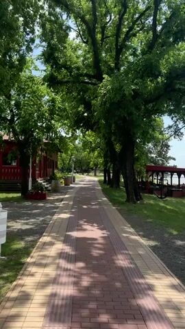 The video shows a tree-lined walkway with a combination of light-colored and red brick paving. On the left is a building with red trim and on the right are trees, a gazebo-like structure with an anchor decoration, and a view of a body of water in the background. The video is taken during the day with ample sunlight filtering through the trees. No people are visible.