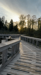 Morning boardwalk activity recorded in Port Moody, Canada