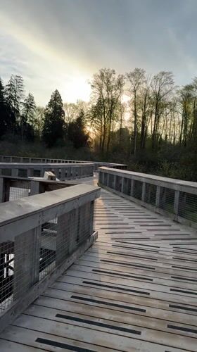 Morning boardwalk activity recorded in Port Moody, Canada