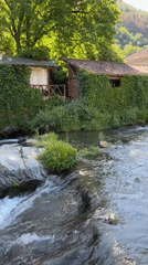Rural riverside village documented through 30 morning observations