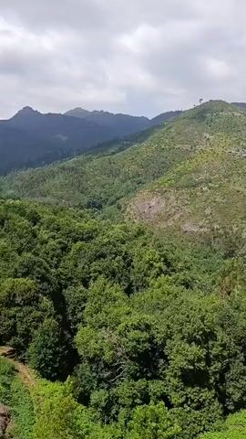 The video displays a scenic view of lush green hills and dense forests under a partly cloudy sky. The camera pans across the landscape, revealing rolling terrain covered with trees and vegetation. In some sections, the hillside appears rocky and less vegetated, with visible tracks or roads winding through it. The foreground shows more densely packed trees, with a path or clearing visible amongst them. The camera then moves closer to a concrete structure, possibly a wall or building, before ending with a view of a plain white wall. There are no people or clear actions visible in the video.