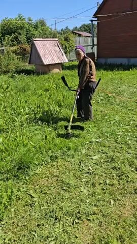 An elderly woman wearing a purple headscarf and a brown patterned shirt is using a string trimmer to cut tall grass in a sunny outdoor area. She is standing in the grass, holding the trimmer with both hands, and moving it back and forth to trim the vegetation. Behind her, there is a wooden structure with a sloped roof, a fence, trees, and a building. The sky is clear and blue.