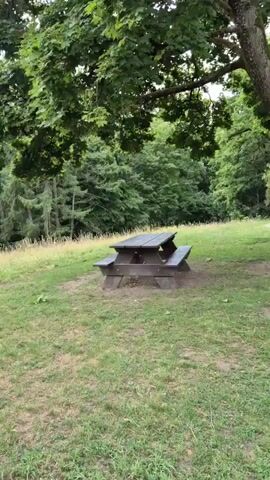 The video pans across a grassy area with a picnic table on the right side of the frame. Beyond the grass is a field of tall, dry grass, and in the background is a dense forest with various types of trees, including some birch trees. The sky is partly cloudy.