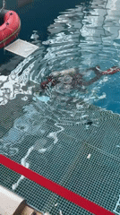 Scuba training session conducted at Vladivostok maritime university