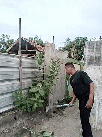 Daily life moments recorded in Lhokseumawe residential area