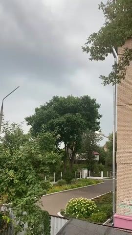 A slight breeze rustles the leaves of several large trees and bushes in a park-like setting. A paved path winds through the scene. A tall brick building stands to the right of the frame. The sky is overcast and grey.