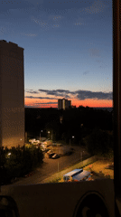 A Lab's cozy evening in, with city sunset views