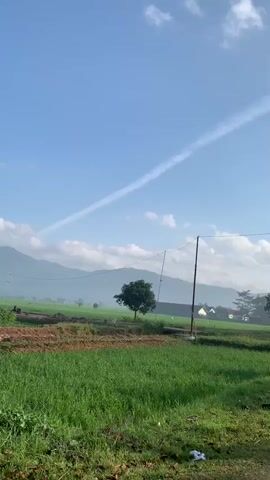 This is a vertical video recording of a scenic outdoor landscape. The sky is a clear blue with a few wispy clouds and a faint contrail stretching diagonally across it. In the mid-ground, a single, mature tree stands in a lush green field. Beyond the field, rolling hills or mountains are visible, partially shrouded in a light mist, suggesting it might be early morning. To the right of the tree, a power line stretches across the frame, supported by a tall, thin pole. In the foreground, a dirt path curves to the right, bordered by green vegetation. The overall impression is one of tranquility and natural beauty.